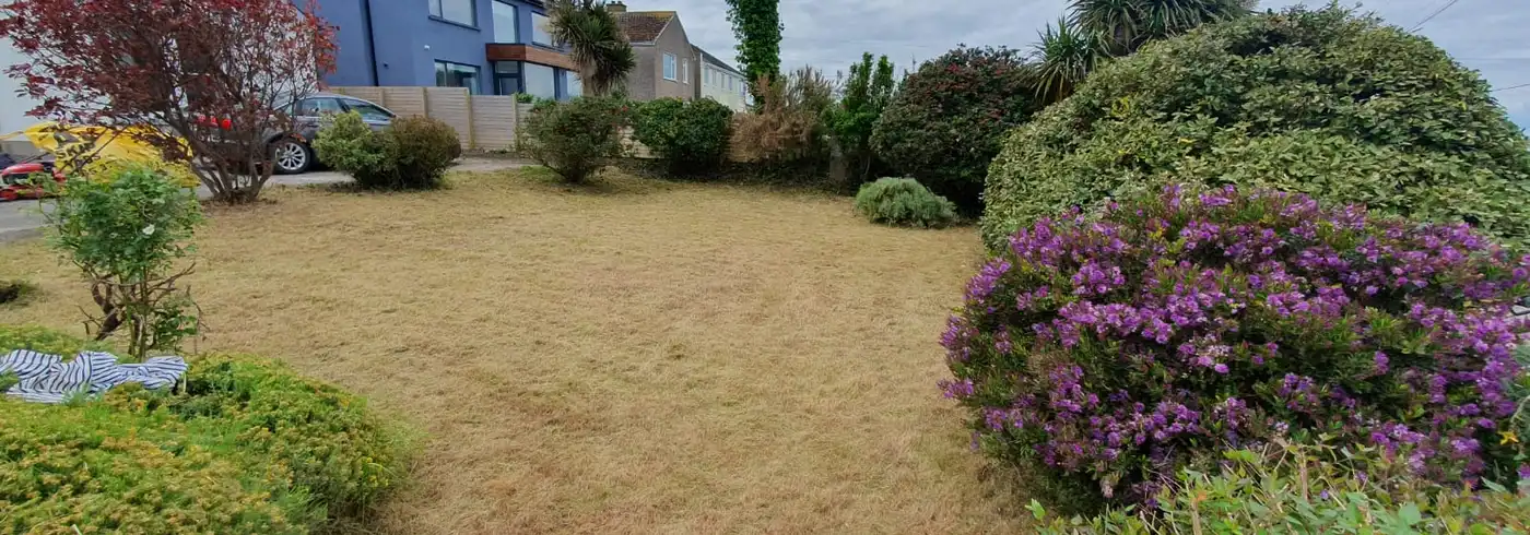 Tree and hedge care by MowPlus Skerries